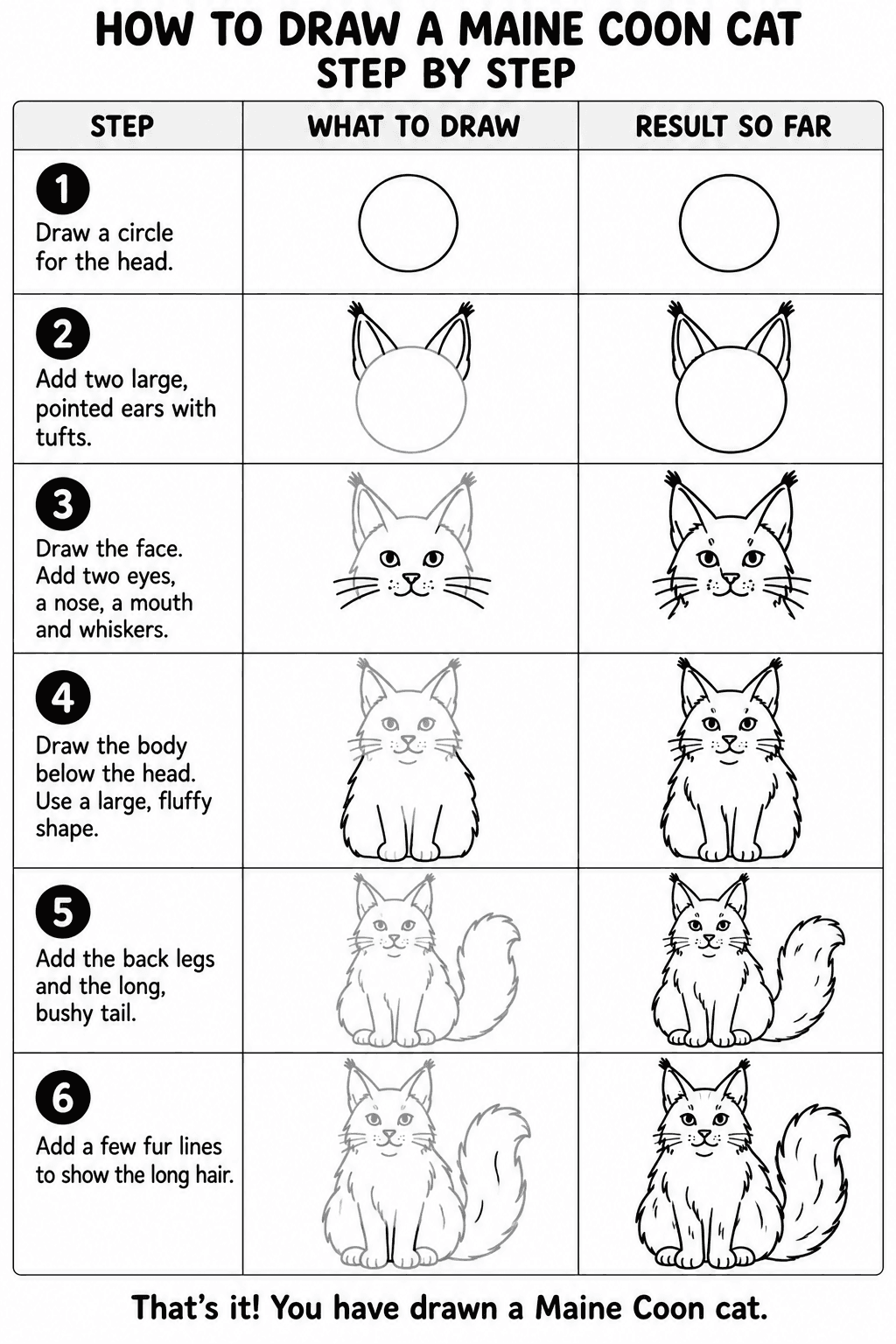 Maine Coon Cat drawing tutorial
