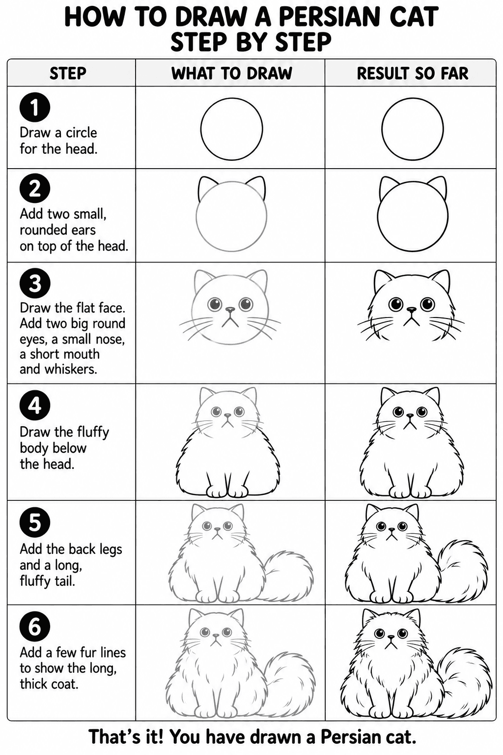 Persian Cat drawing tutorial