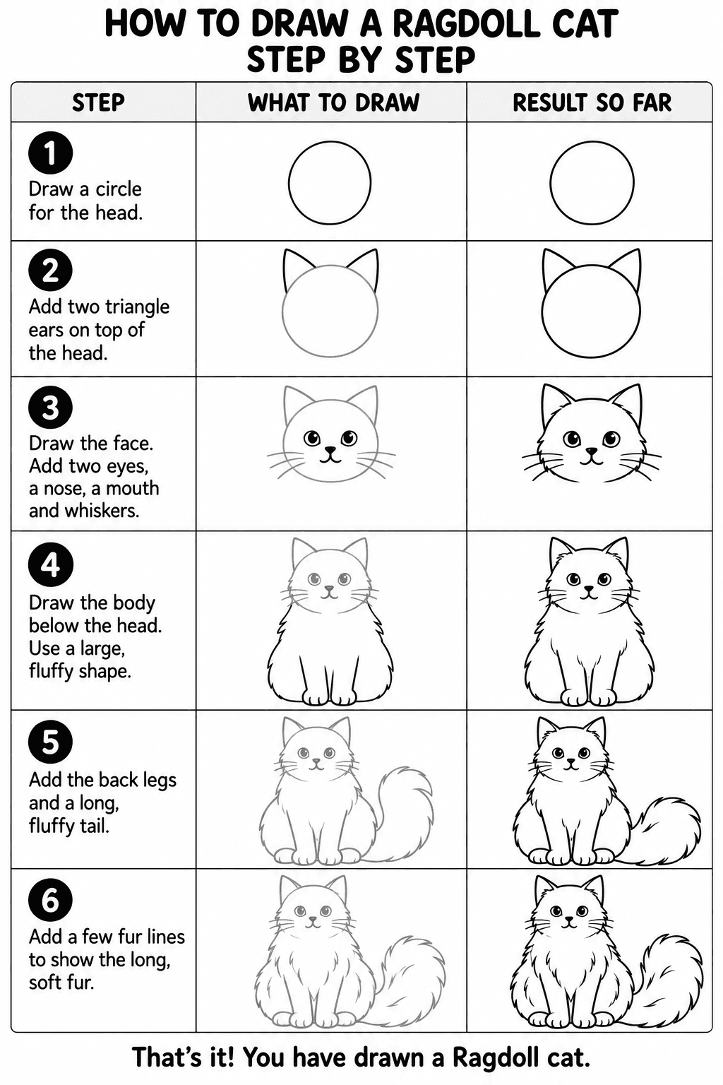 Ragdoll Cat drawing tutorial