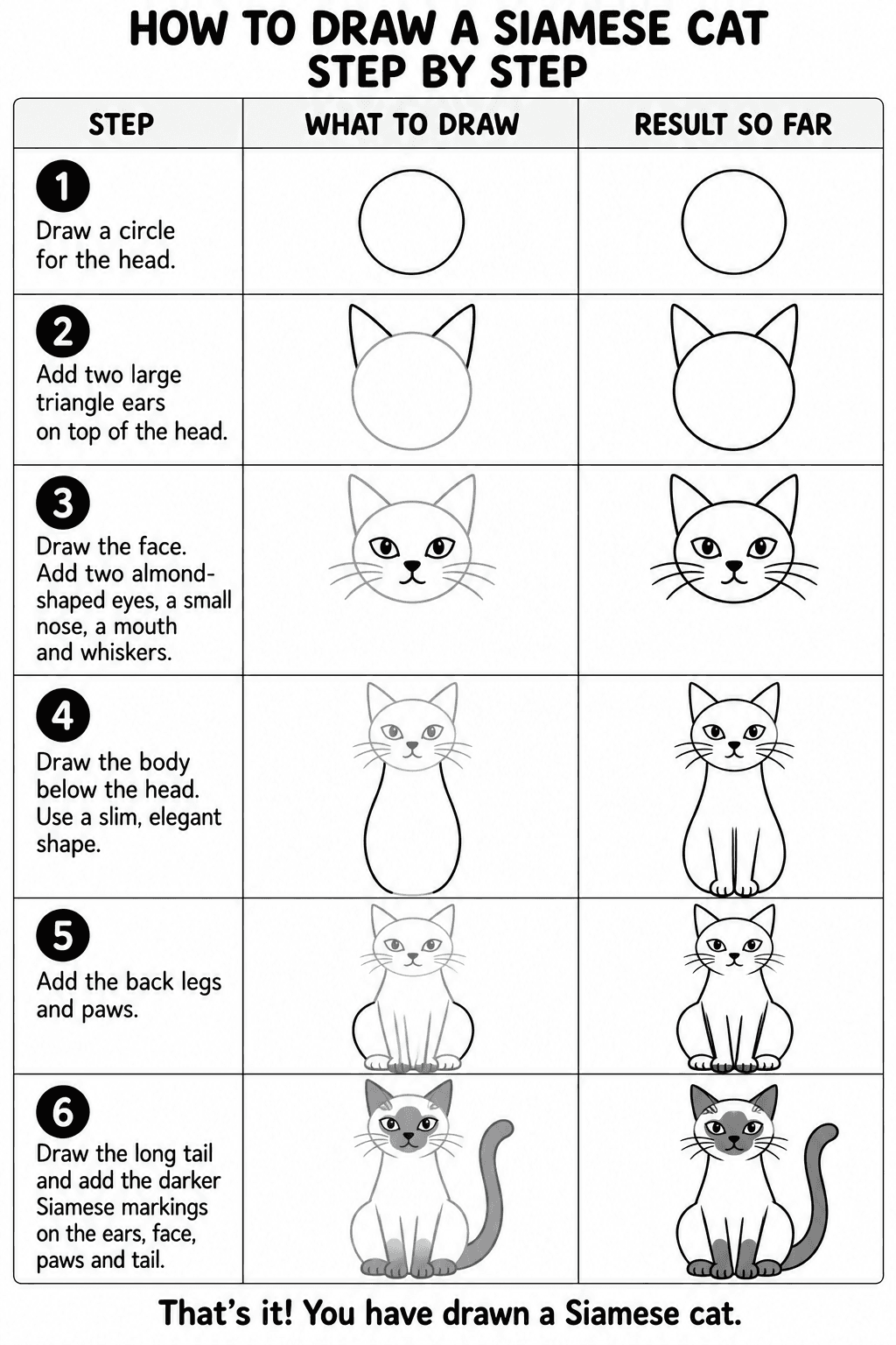 Siamese Cat drawing tutorial