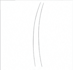 Step 1: draw the curved trunk guides when drawing a coconut tree