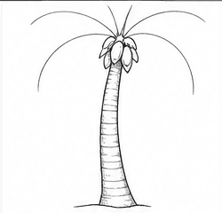 Step 4: create the crown base when drawing a coconut tree