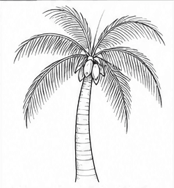 Step 6: layer more palm fronds when drawing a coconut tree