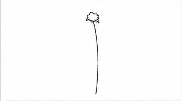 Step 2: add the center of the palm leaves when drawing a coconut tree
