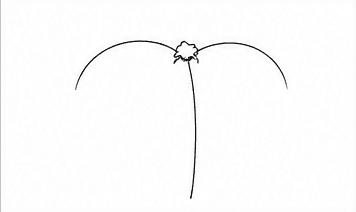 Step 3: sketch the first two palm fronds when drawing a coconut tree