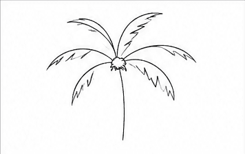 Step 4: complete the leafy crown when drawing a coconut tree