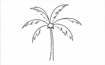 Step 5: give the trunk a little texture when drawing a coconut tree