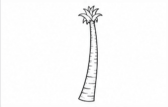 Step 2: build the crown at the top when drawing a coconut tree