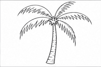 Step 3: draw the first large palm fronds when drawing a coconut tree