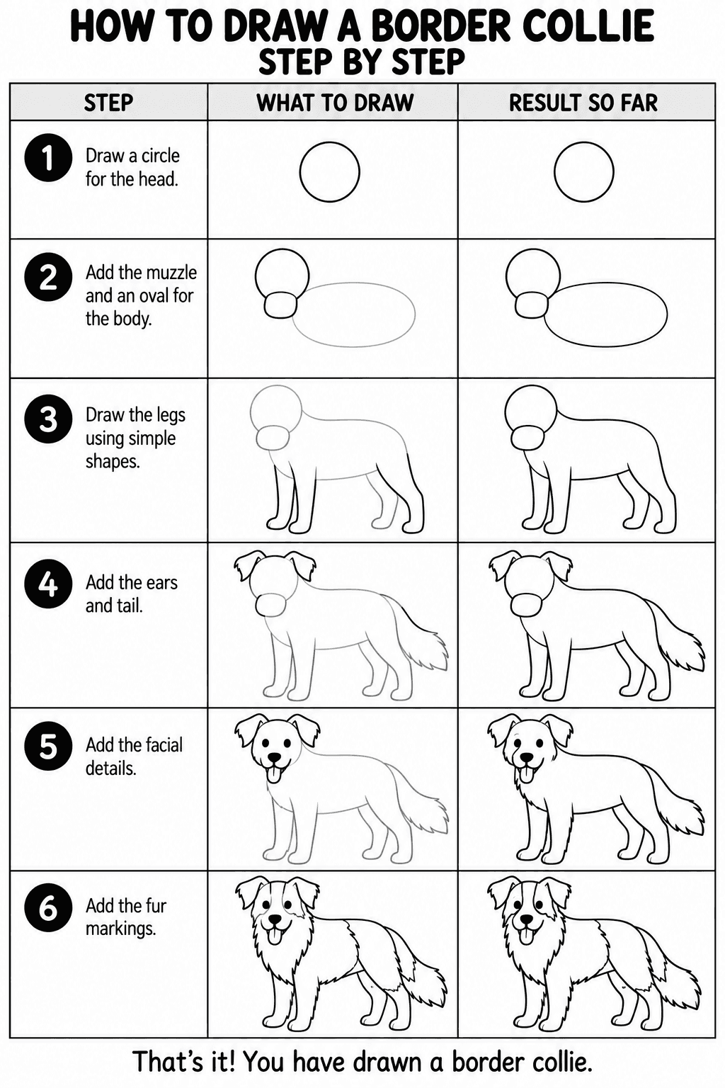 Border Collie drawing tutorial