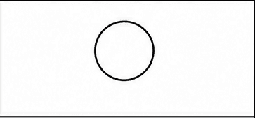 Step 1: draw the border collie's head when drawing a border collie