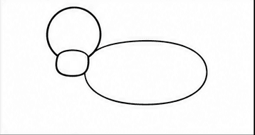 Step 2: add the muzzle and oval body when drawing a border collie