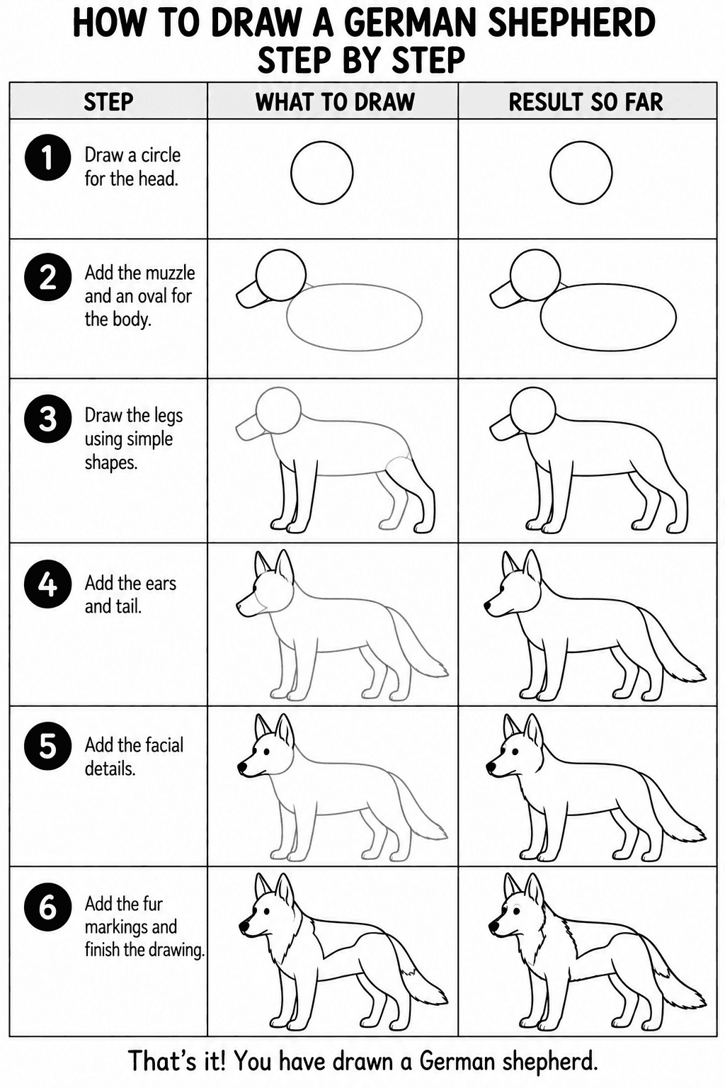 German Shepherd drawing tutorial