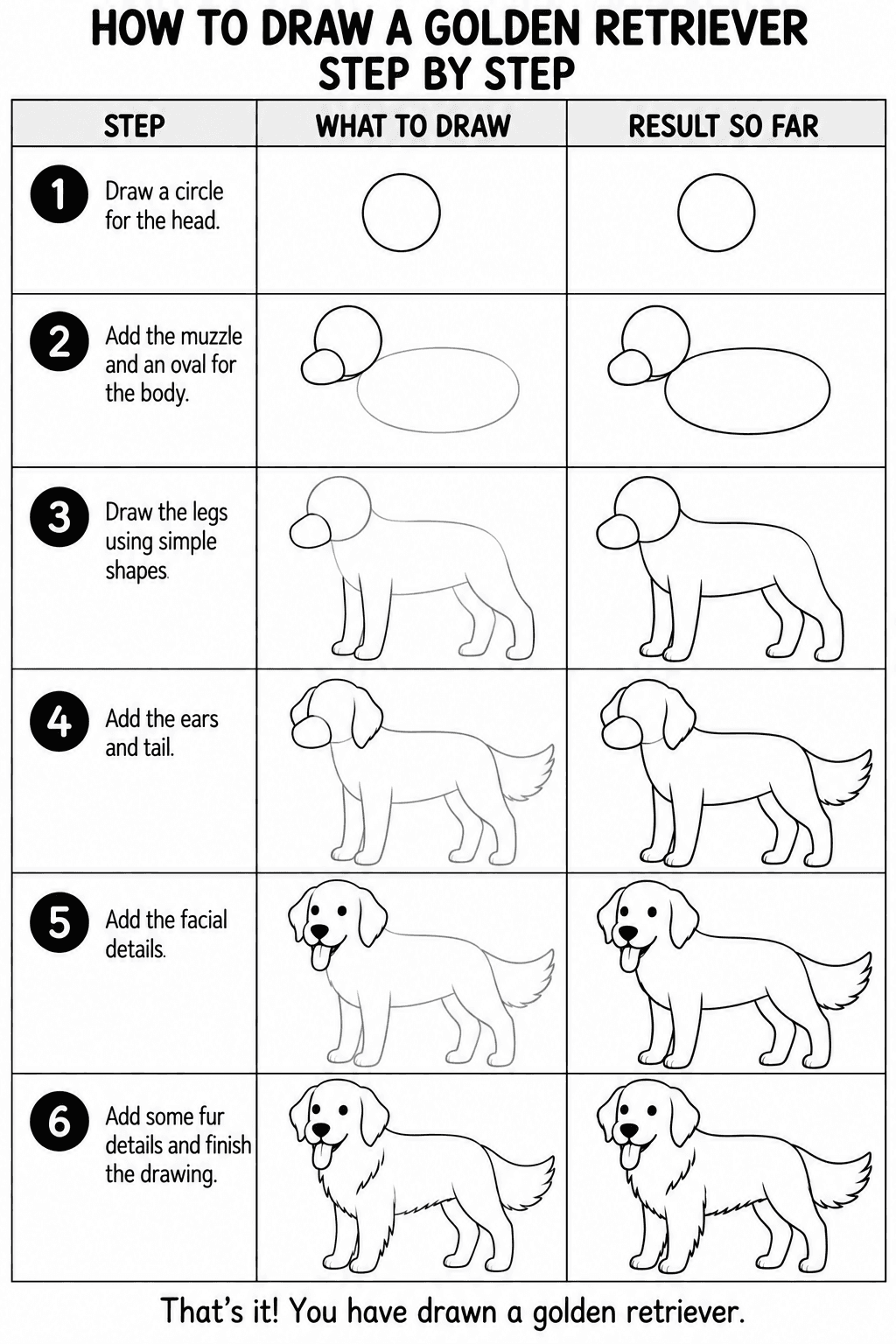 Golden Retriever drawing tutorial