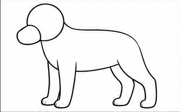 Step 3: draw four simple legs when drawing a golden retriever