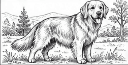 Step 10: finish the golden retriever drawing when drawing a golden retriever