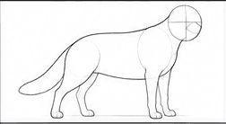 Step 2: refine the body contours when drawing a golden retriever