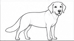 Step 3: construct the head and floppy ears when drawing a golden retriever