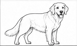 Step 4: draw the friendly face when drawing a golden retriever