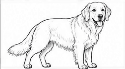Step 5: define the legs and paws when drawing a golden retriever