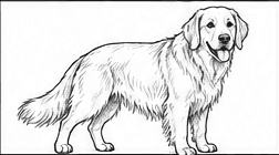 Step 6: add the long feathered coat when drawing a golden retriever
