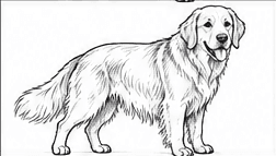 Step 7: layer more flowing fur detail when drawing a golden retriever