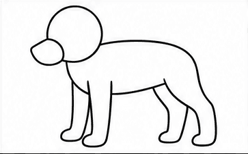 Step 3: draw the husky's legs when drawing a husky