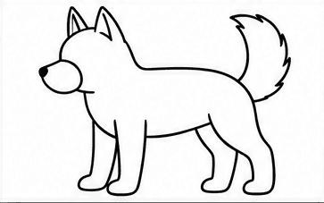 Step 4: add pointed ears and a curled tail when drawing a husky