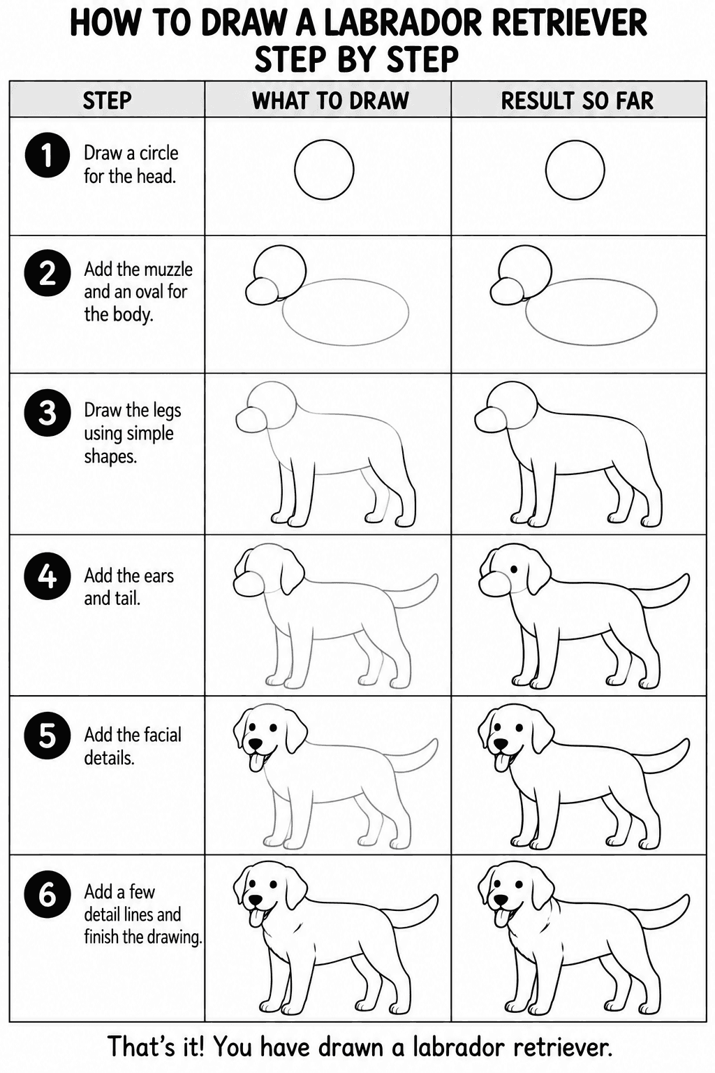 Labrador Retriever drawing tutorial