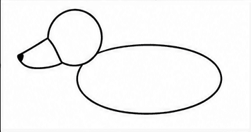 Step 2: add the long muzzle and body when drawing a malinois