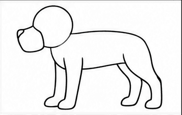 Step 3: draw four sturdy legs when drawing a pitbull
