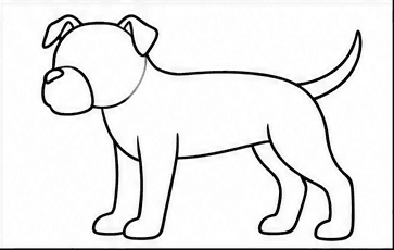 Step 4: add folded ears and the tail when drawing a pitbull