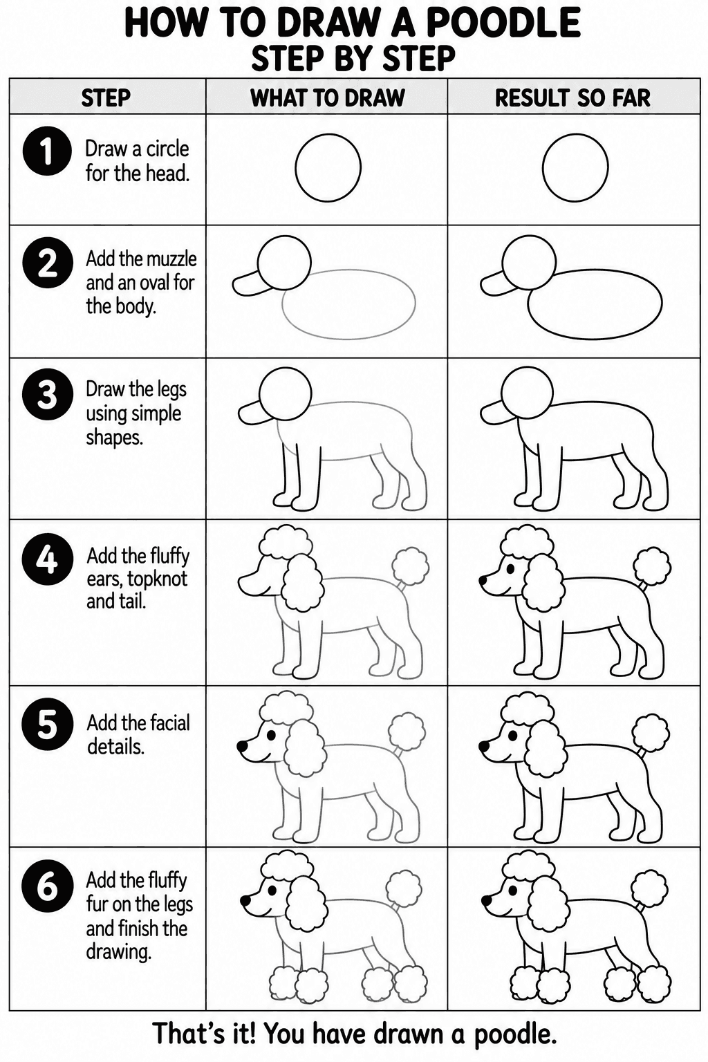 Poodle drawing tutorial