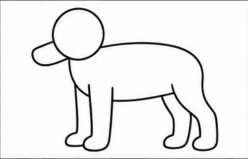 Step 3: draw four slender legs when drawing a poodle