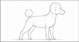 Step 1: set the poodle's pose when drawing a poodle