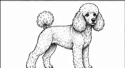 Step 7: layer more fur detail when drawing a poodle
