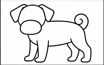 Step 4: add floppy ears and a curled tail when drawing a pug