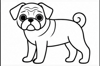 Step 6: finish with neck wrinkles when drawing a pug