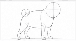 Step 1: set the pug's pose with guides when drawing a pug