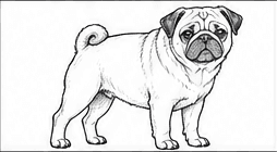 Step 5: shape the legs and paws when drawing a pug