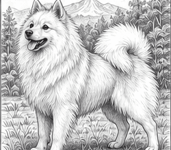 Step 12: finish the spitz drawing when drawing a spitz