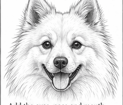 Step 4: draw the detailed face when drawing a spitz