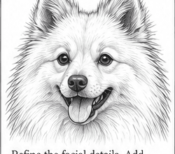 Step 8: refine the facial details when drawing a spitz