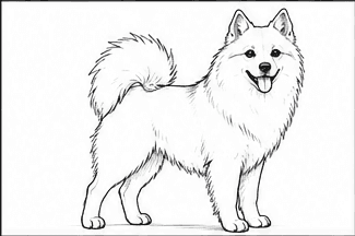Step 3: draw the spitz face and pointed ears when drawing a spitz