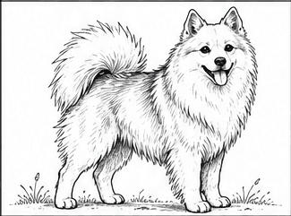 Step 5: layer fur texture and soft shadows when drawing a spitz