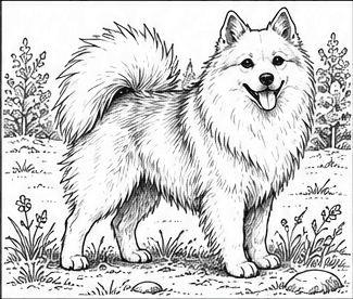 Step 6: finish the spitz in an outdoor scene when drawing a spitz