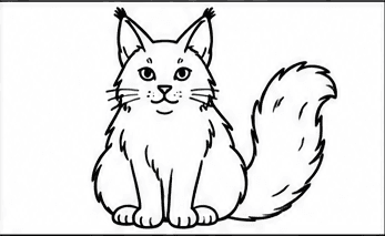 Step 5: add the back legs and bushy tail when drawing a maine coon cat
