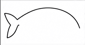 Step 2: add the tail fin when drawing a dolphin