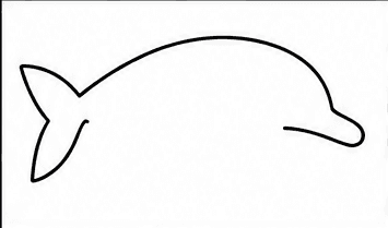 Step 3: shape the head and beak when drawing a dolphin