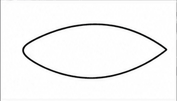 Step 1: draw the shark's body when drawing a shark